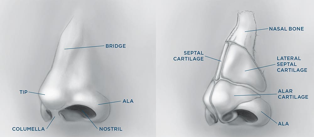 Nose Surgery Rhinoplasty