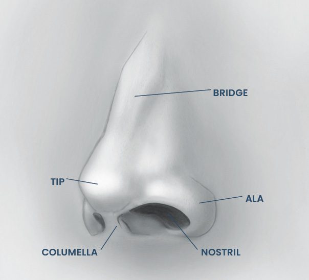 rhinoplasty